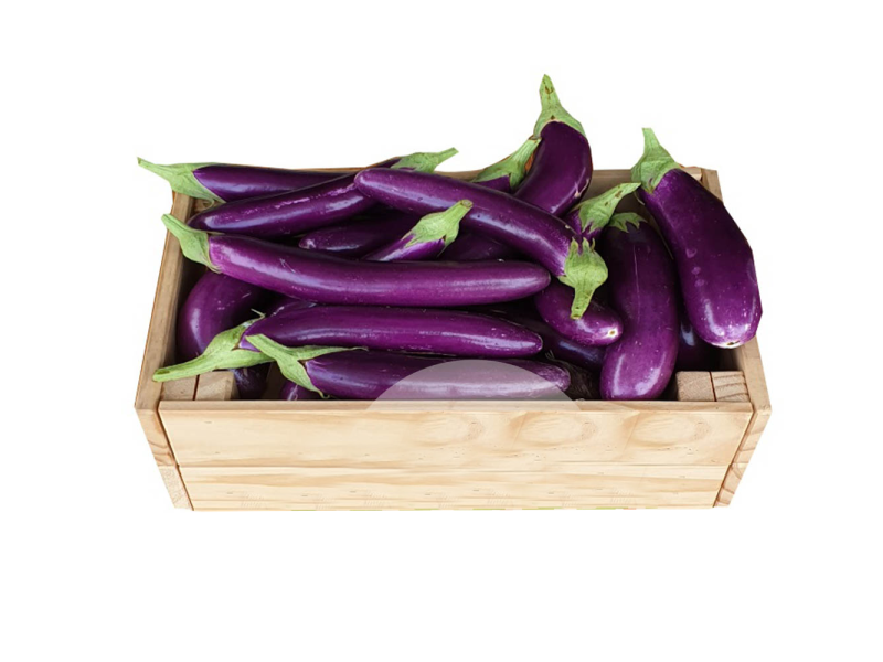 Organic Purple Brinjal